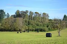 Relief traduisant le remblai de l'aurière de Puy-Chétif.