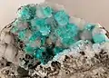 Auricalcite sur hemimorphite - 79 Mine, Arizona, USA (7x6 cm)