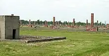 Ruines d'Auschwitz II. Restent les cheminées en maçonnerie, la majorité des baraquements en bois a disparu.