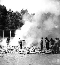 Photographie clandestine montrant les membres d'un Sonderkommando d'Auschwitz en train de brûler les corps de victimes dans des fossés à ciel ouvert.