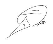 signature de Rosa López