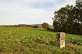 Borne frontière entre la Suisse et l'Allemagne près de Dörflingen (SH)