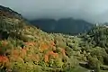 Le château de Graines vu du sentier en amont d'Arcésaz en automne.