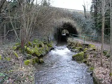 L'Auzette passe sous l'autoroute A20 et entre sur le parc.