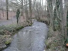 L'Auzette à Limoges dans le parc Bas-Fargeas