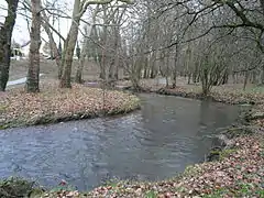 L'Auzette dans le parc.