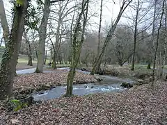 L'Auzette à Limoges dans le parc Mas-Rome