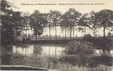 Étang et avenue du château.