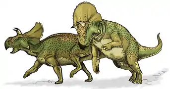 Avaceratops