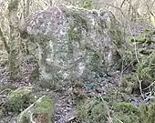 Dolmen du bois du petit Vitain