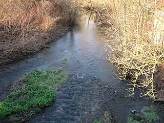 L'Aveyron à Montbouypeu avant de se jeter dans le Loing.