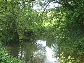 l' Avière et le pont