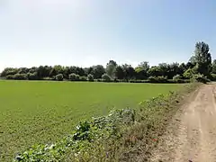 Vue vers le carreau de fosse.