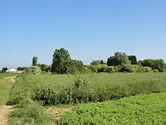 Vue du carreau.