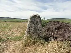 Le menhir de Haute-Borne.