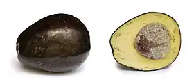 Image illustrative de l’article Avocat (fruit)