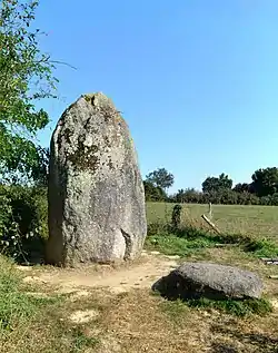 Image illustrative de l’article Menhir de la Boilière