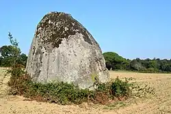 Image illustrative de l’article Menhir de Beaulieu