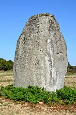 Image illustrative de l’article Menhirs de la Garnerie