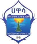 Logo du Awassa City