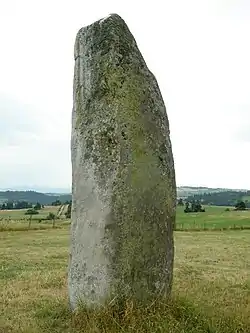 Image illustrative de l’article Menhir de Fohet