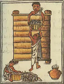 Stockage du maïs par les Aztèques, Codex de Florence - Fin XVIe siècle