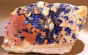 Azurite - mine de Cap Garonne - Var  (12,5 × 6,5 cm).