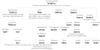 Étymologie du mot « bièvre »