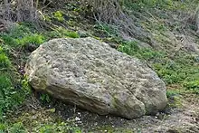 Vestige du dolmen de Valibeau à Béalcourt.