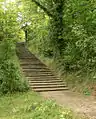 Photographie récente en couleurs d'un large escalier montant dans la forêt.