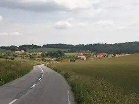 Březina (Blansko)