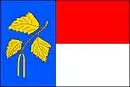 Drapeau de Březnice