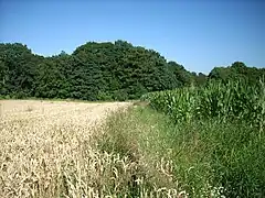 Montignies-Saint-Christophe, chaussée Brunehaut arrivant sur la vallée de la Hantes