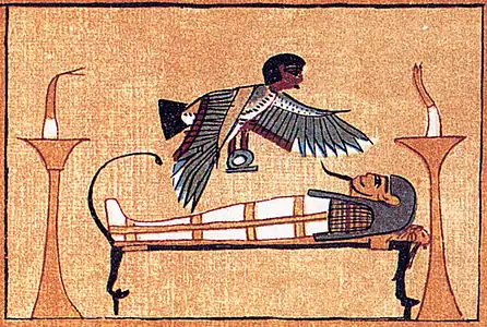 momie allongée et oiseau volant