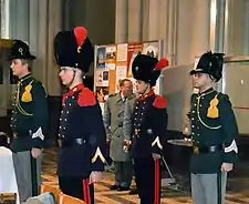 Image illustrative de l’article Regiment Carabiniers Prins Boudewijn - Grenadiers