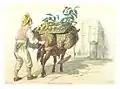 Dessin d'un homme avec un âne vendant des fruits