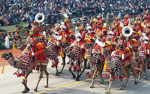 Brigade montée à dos de chameau (2004).