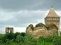 La forteresse de Bač (vue depuis le sud)