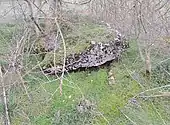 Dolmen des Mouïse.