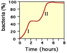 Courbe de croissance dans un milieu contenant deux glucides (par exemple : I : utilisation du glucose et II : utilisation du lactose)