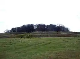 Photo d'une colline basse couronnée d'arbres