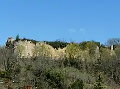 Les ruines du château.