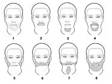 Noms de plusieurs coupes classiques de barbe. 1 : la barbe de trois jours, 2 : la moustache, 3 : la barbiche, 4 : le bouc, 5 : les favoris, 6 : la Souvarov, 7 : l'impériale, 8 : barbe complète.