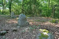 Image illustrative de l’article Menhirs de Tréfoux