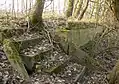 Photographie récente en couleurs d'un escalier de béton et d'un ancien quai de gare, largement envahis par la végétation.