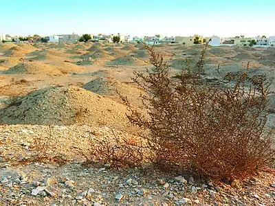 Nécropole Madinat Hamad 1, vue du sud-ouest