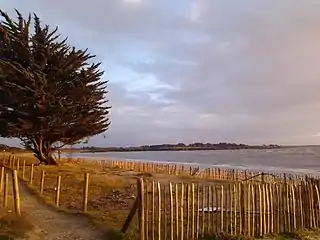 Vue de la baie vers le sud