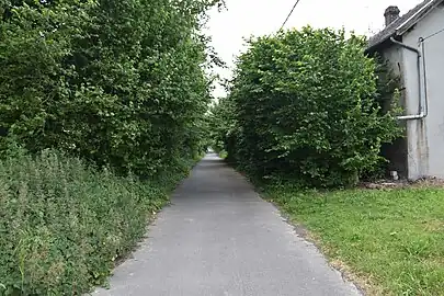 Ancien tracé de  la Ligne de Doullens à Arras aujourd'hui Véloroute de la Mémoire près de la gare de Gouy-Bailleulval.