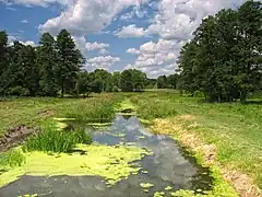 La forêt de Bakaïvka, classée,