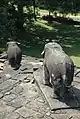 Eléphants aux coins des terrasses
